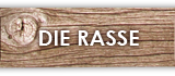 Die Rasse